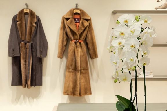 Brand clothing store Symbol (Kyiv, 2024)