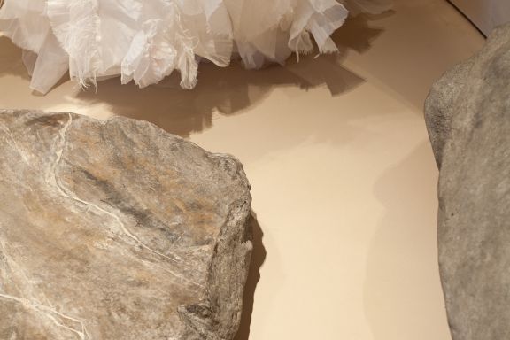 Salon of wedding dresses (Warsaw, 2024)