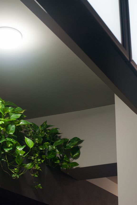 "Nad Stavom" (Ternopil, 2021)